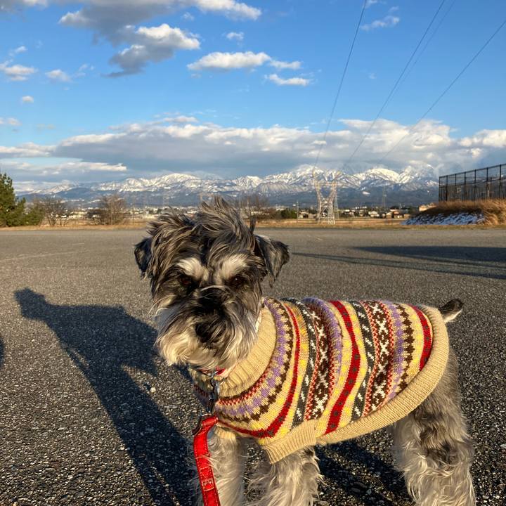 21f34bfa a1dc 4ae7 950f 098073908515 1768057774064