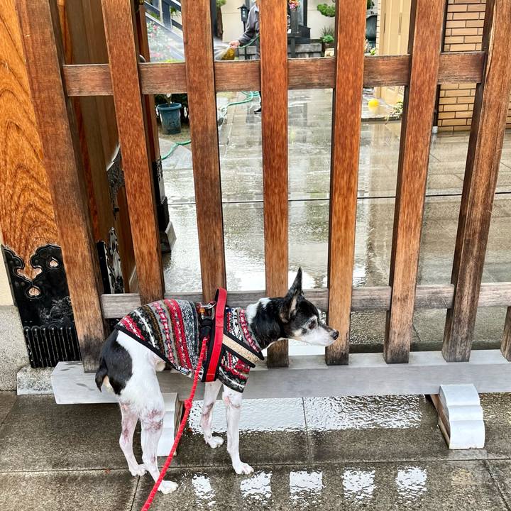 21f36fe5 aff1 439c 8212 776a1fe478ab 1637459382424