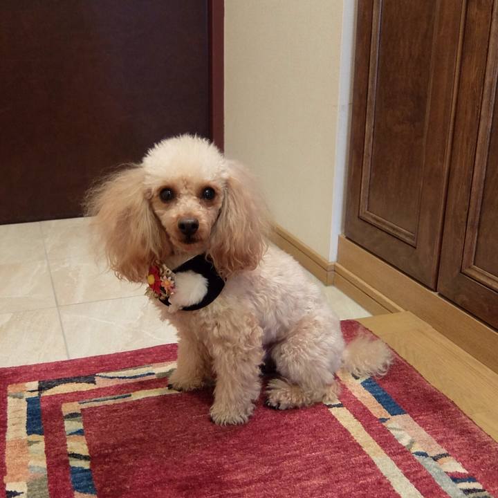 21f3d220 a0aa 4580 b605 a660b4892855 1514856148978