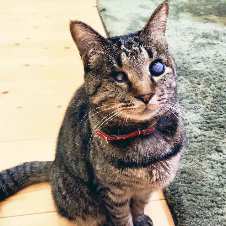 21f3efb9 0f0f 46a1 8496 03019adb7ba3 1525091074339