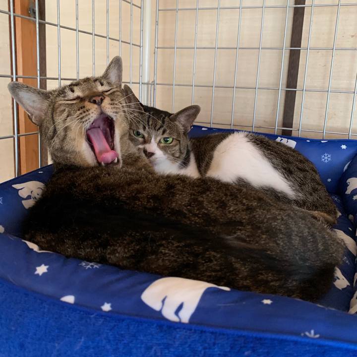 21f3fda5 8b21 466e a7dc ca5deeba0693 1564966207646