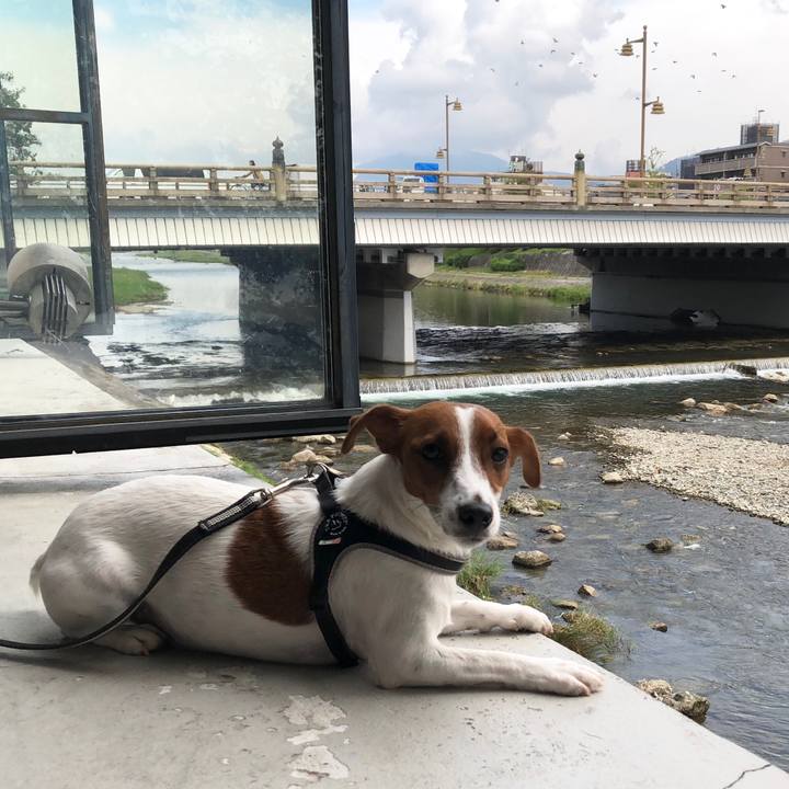 21f402ce 87c9 4322 ae48 58d37e9f99bd 1539655000045