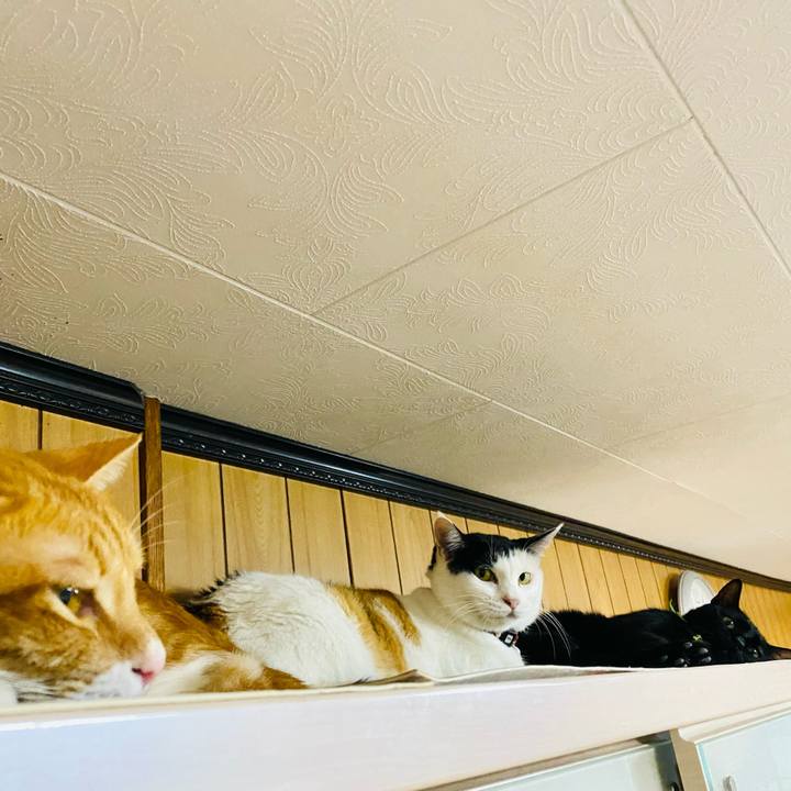 21f407ab c84f 4376 84d5 c3ef3037b8ed 1663482985996