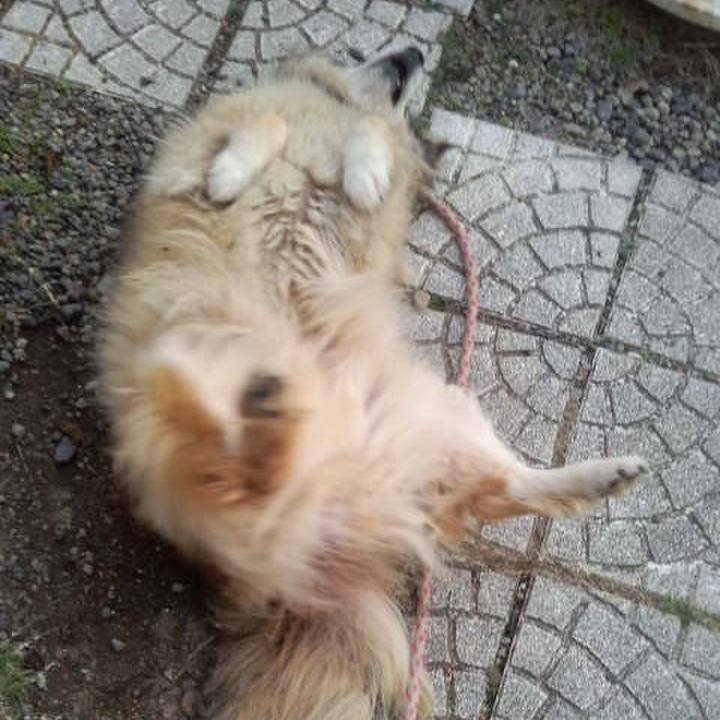 21f41b7a d77d 4981 adcd 99a522de16db 1564705827076