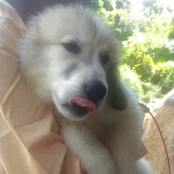 21f423a2 2769 4fa8 b874 289261ce6677 1530014459355