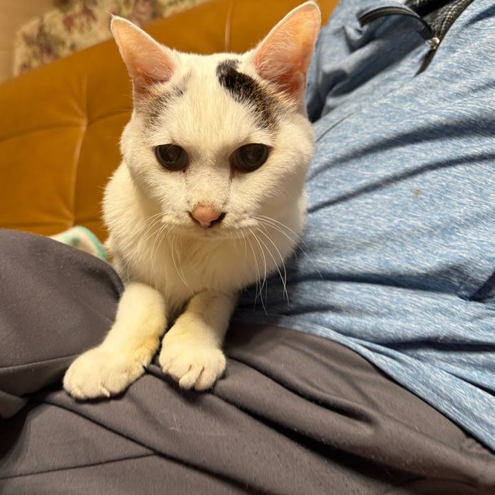 21f42475 77e2 41ed 84ce 92ab61d31302 1761371014323