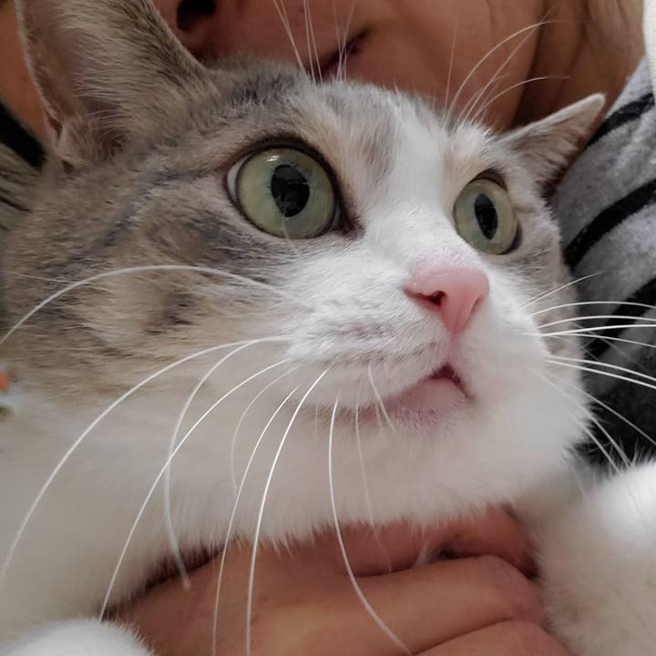 21f43900 9f95 45f4 b6c1 8d8a17f56753 1701608471354