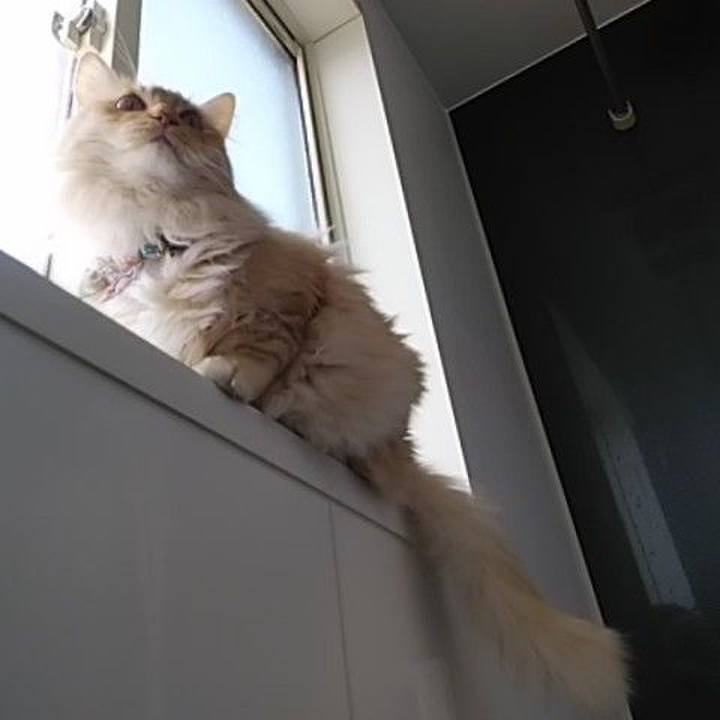 21f44064 513b 49db b313 ea61022c33db 1648870189540