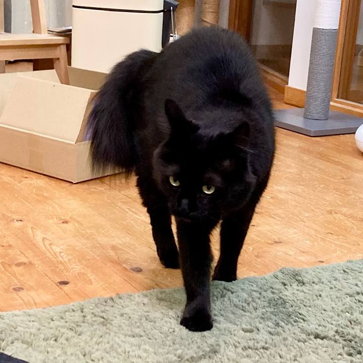 21f4462a 2c69 4d3c 87a2 62213bd9629e 1765239325581