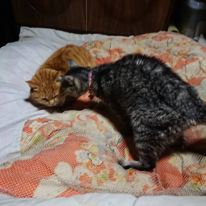 21f44e3e e9ba 4d6c 86b0 ca8ddb971b49 1581336922561