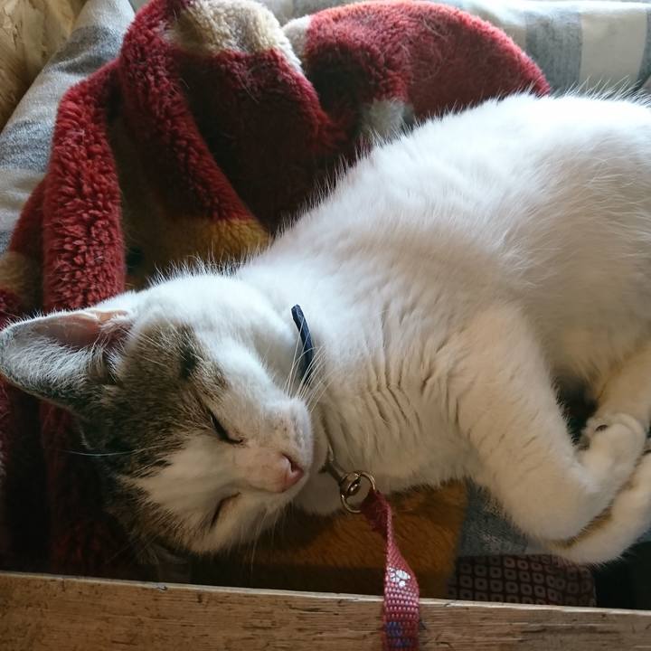 21f478b1 8551 4f5d a948 ec157e004aaa 1570595002706