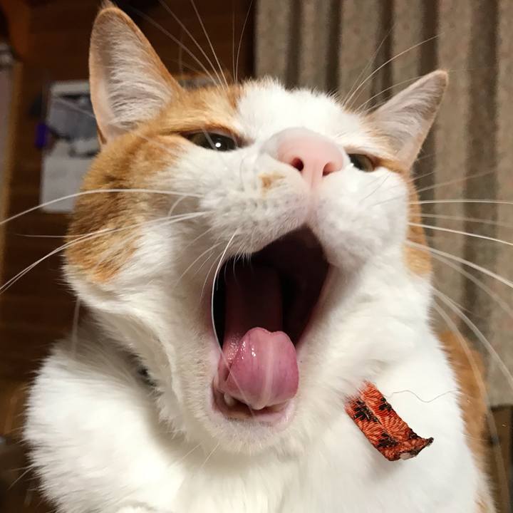 21f49329 daa1 4c72 81da aefbf248d118 1549889924809