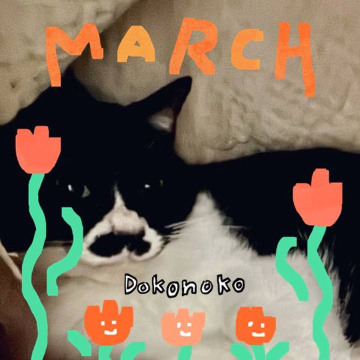 21f4ab50 3e75 4a04 898e 50daf0048729 1741094599994