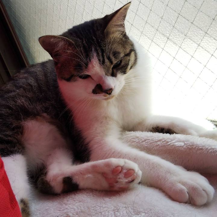 21f4bd35 044b 4250 8639 71d663ebda83 1649218916358