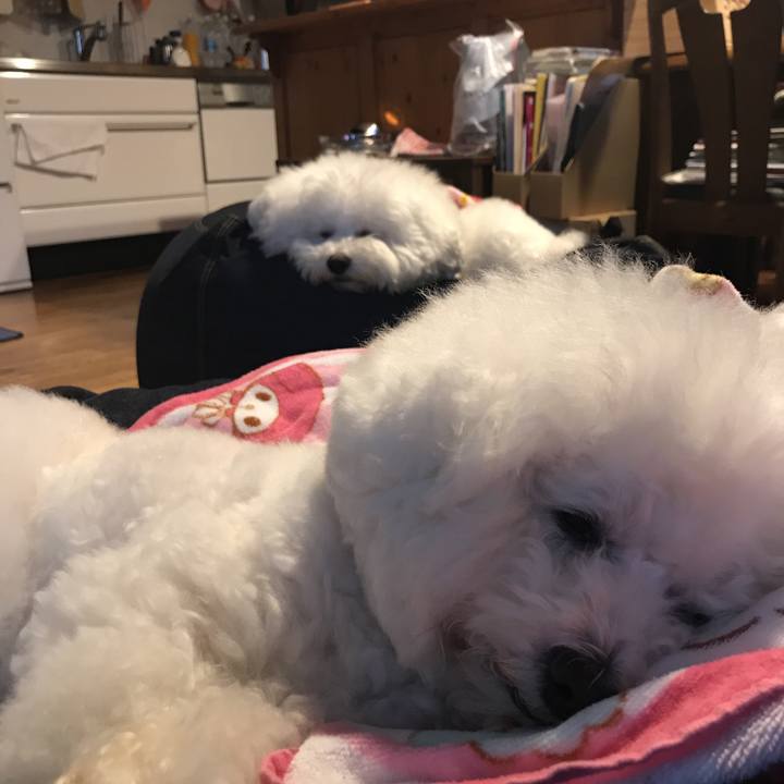 21f4c3d8 c2b5 4cdc aabb 7c9ebd98298c 1547278420048