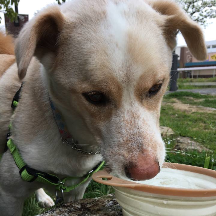 21f4d8e2 974f 423f aad1 078396211b69 1523661263450