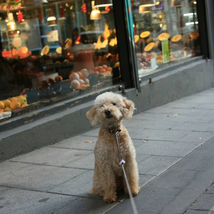 21f51e68 6418 4e34 967a 582c47b77e49 1539267211439