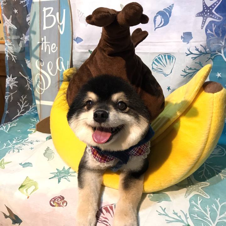 21f53baa 3762 419e a16e cd54acad110f 1536688760933