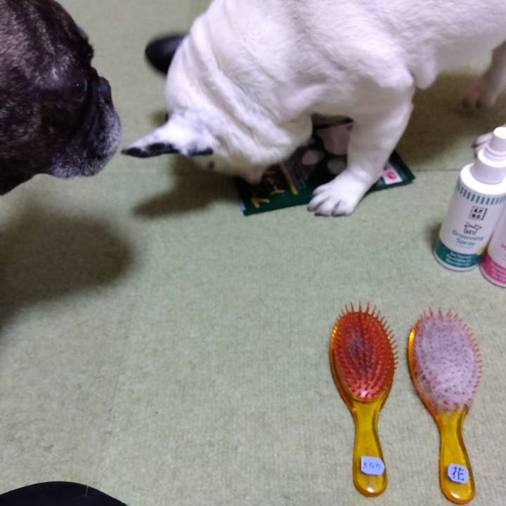 21f55e5b ac2d 437e 85d9 bfccd125fdef 1705069724914