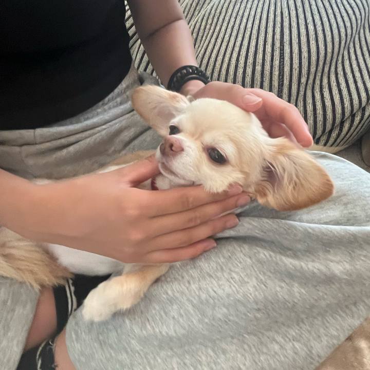 21f56002 04e9 4e52 b42f 7618276fd44a 1757598182462