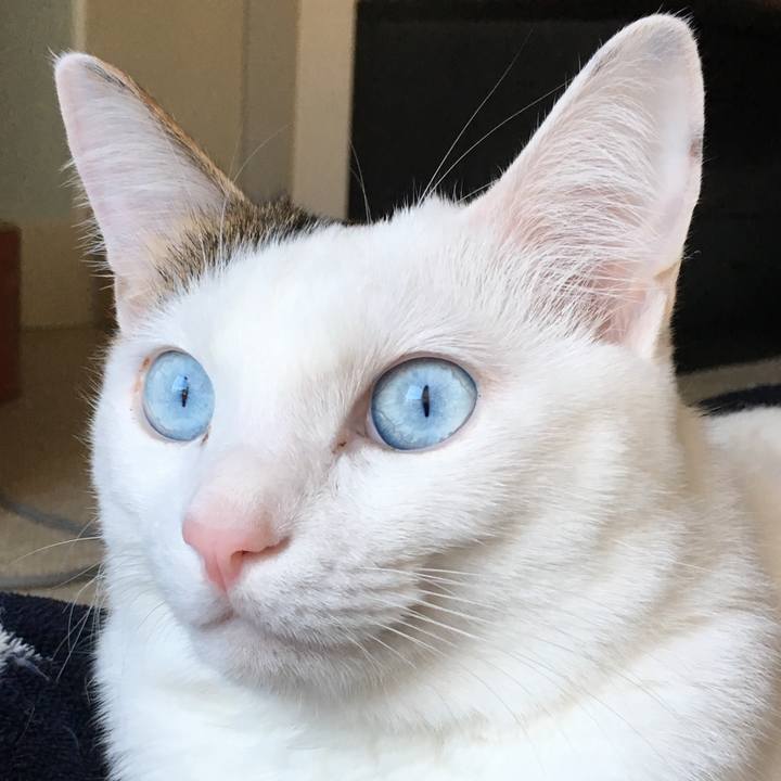 21f56fce 2999 4eab a19e db20875a0bc9 1545273989630