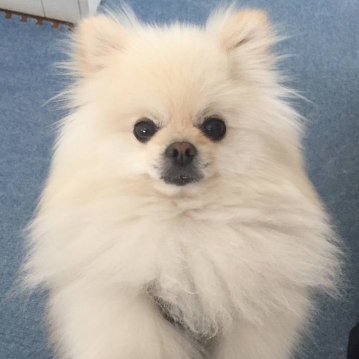 21f57e04 57ac 403d 896c 98505366e4be 1560864671855