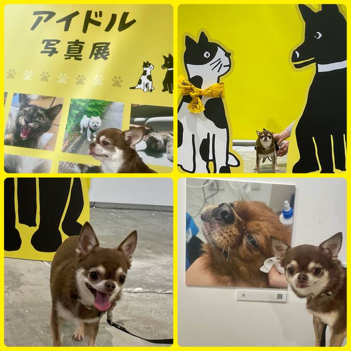 21f5aa60 5cb6 4c0e 9b6d b86363ceb2e7 1761625055842