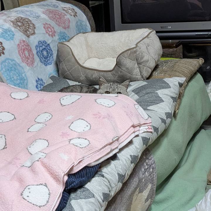 21f5d4bf 8ac6 470e a576 83c51dae44c7 1761903778317