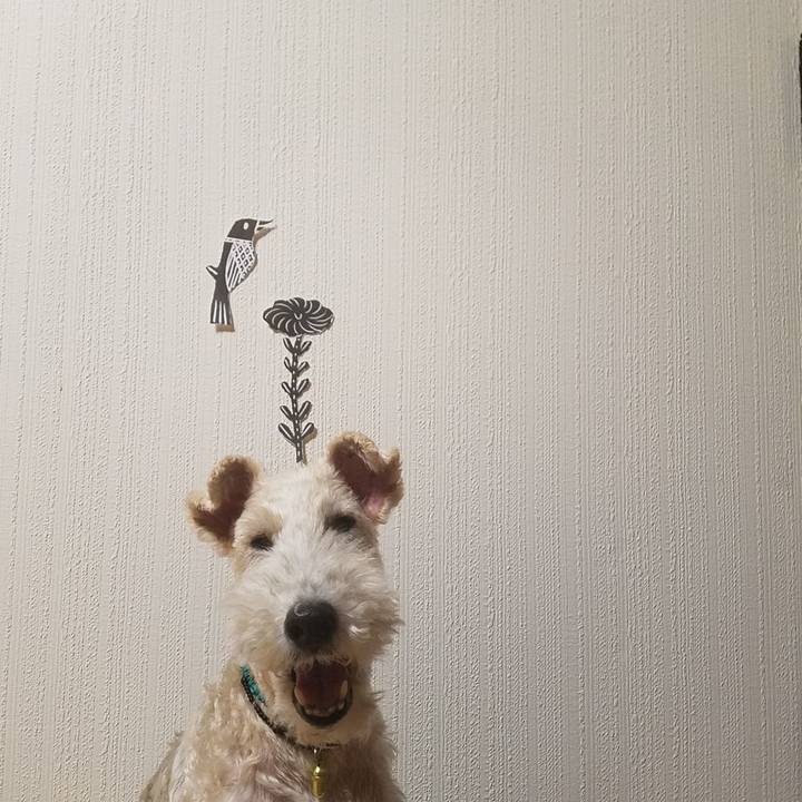 21f5db54 2365 4d74 b28b ab5e43bd325f 1536938492848