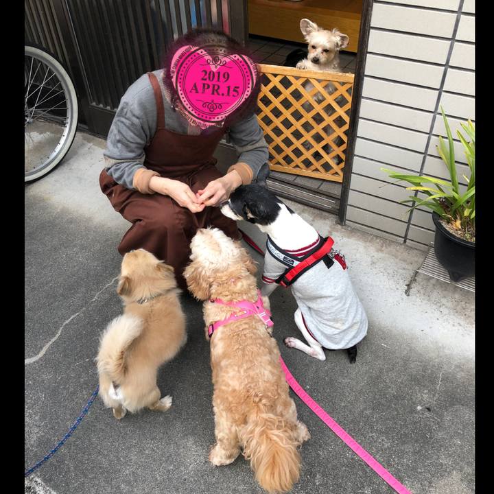 21f5f178 901c 4489 9bc8 f3e0462a8455 1555280796298