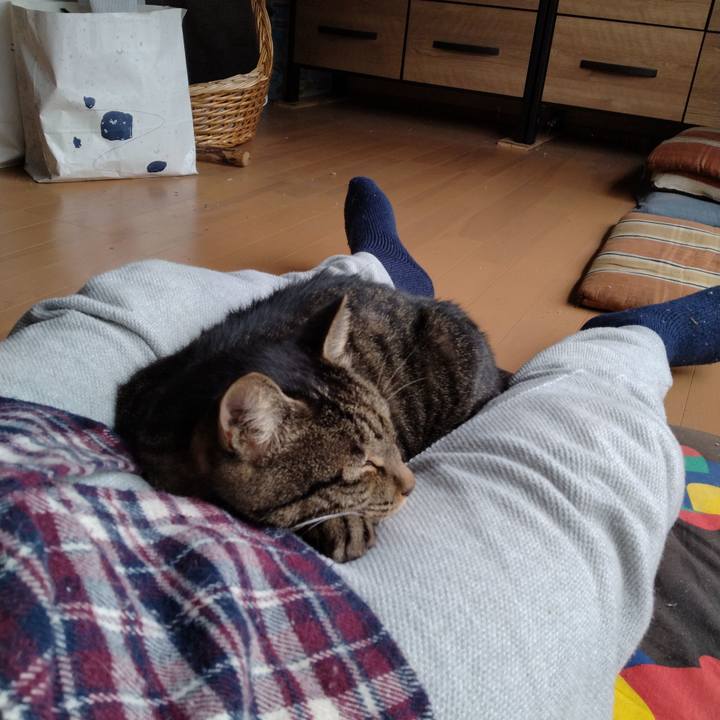 21f5f9cf 8ffe 4fb6 808b 0d470790a7a9 1665375001973