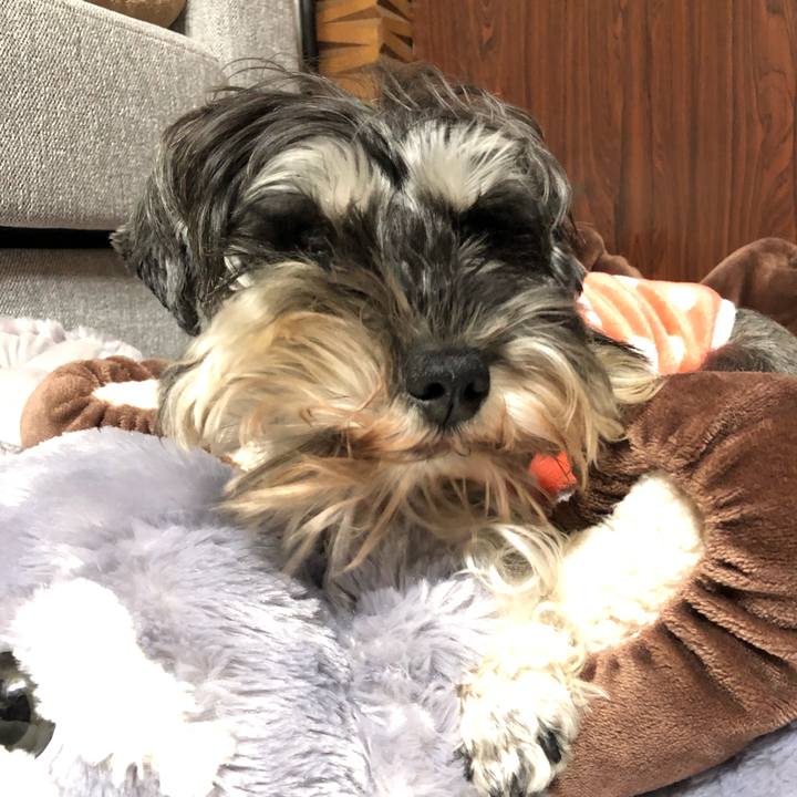 21f6086f 16d9 41be a8fe 80414eaf2e50 1580826056926