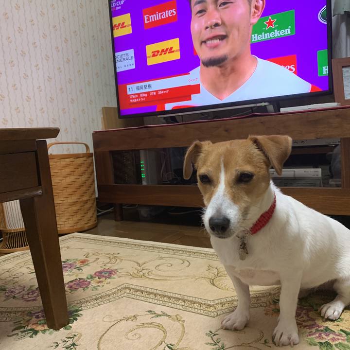 21f618f6 206f 4dd0 b45a d3d2dd0f00d8 1570970759768