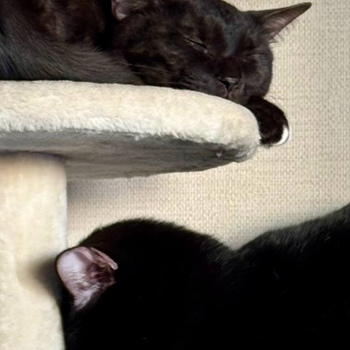 21f64a2b be8b 48e7 9472 35a40f2b9d3b 1772753693467