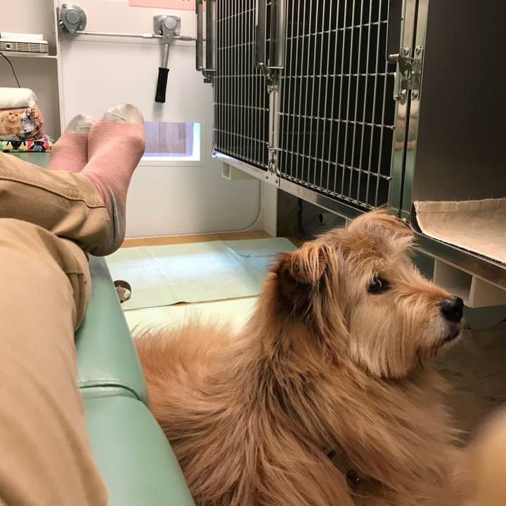 21f655ef f6e4 4d86 9cfa 79b4191a47cf 1553854394919