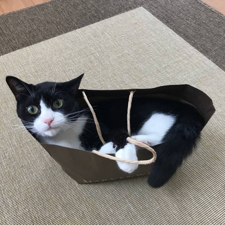 21f666ef 1896 4cef bafe 9f6176e33da6 1532744206255