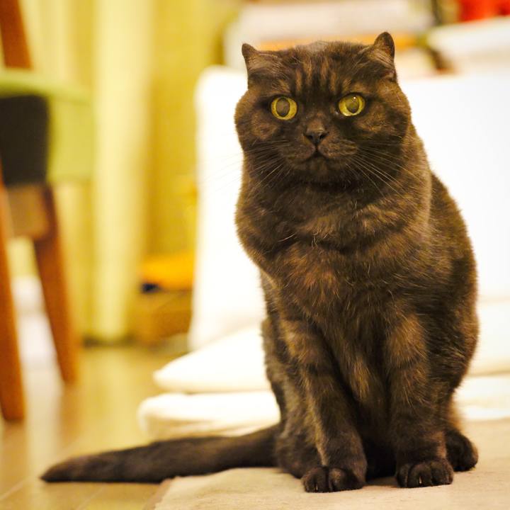 21f668a1 fb29 488d 9272 3d777136d688 1634908777204