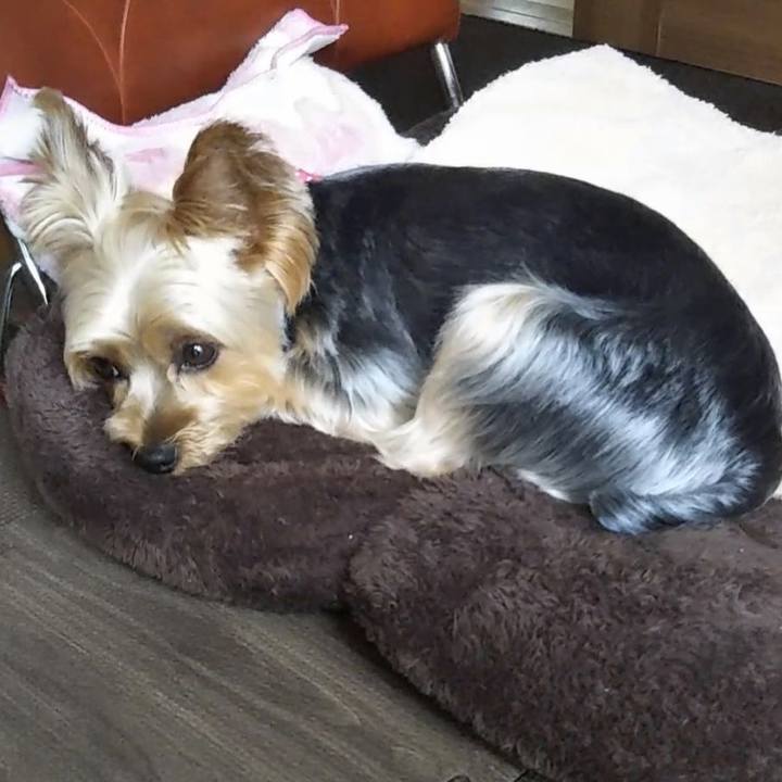 21f691e7 cf9d 4dfb 9f8a a0029b838359 1625267105941