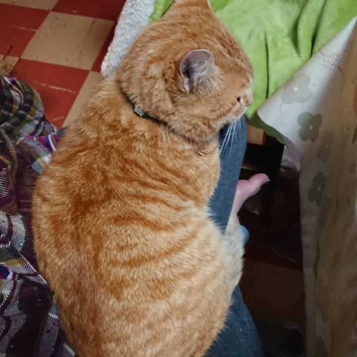 21f762bc 5c0b 4aab a1eb ae2130a5f245 1586552395939