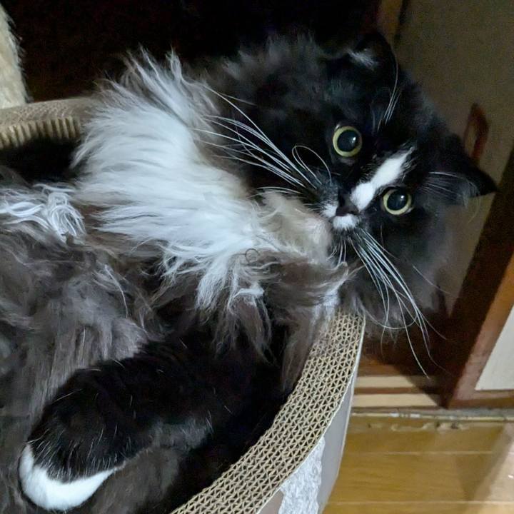 21f78d0a 1be7 4155 877e caf80ffe14c7 1730153692947