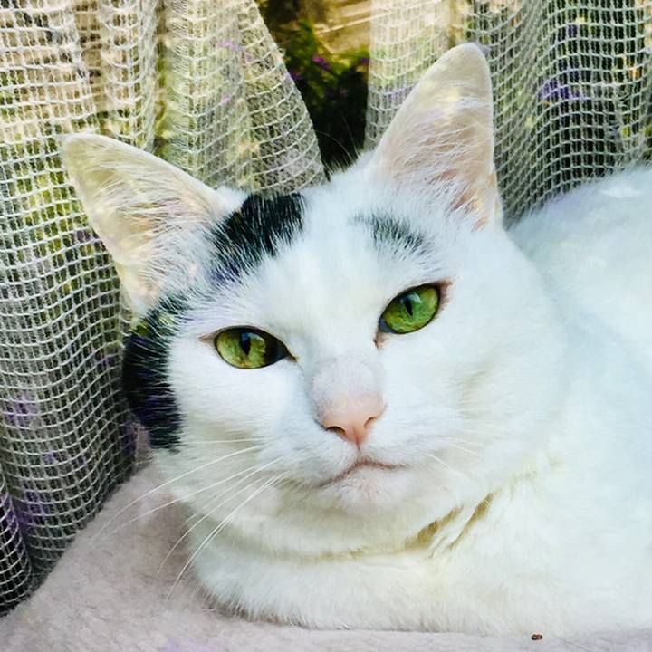 21f7b1db fd71 4cfd a4a2 0a6eca325704 1559875640806