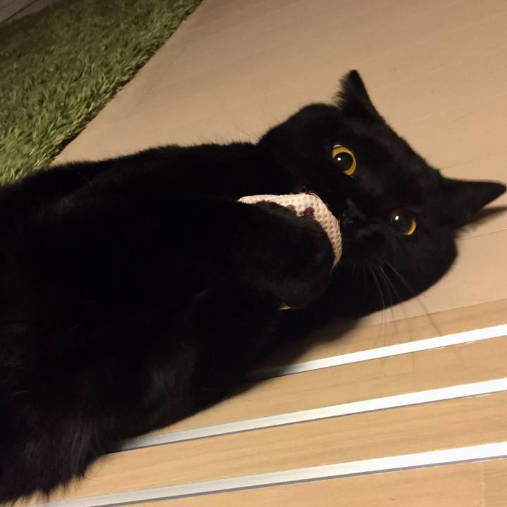 21f7b74d 60d5 418b 9c24 890a82ac4edf 1532172338066