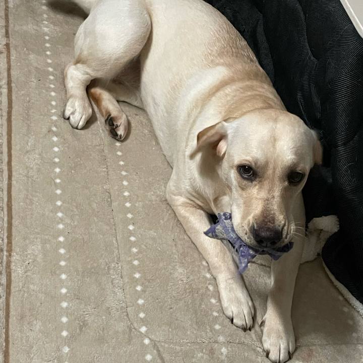 21f7c940 1c37 4eac 8819 c9a130aeff78 1640651775478