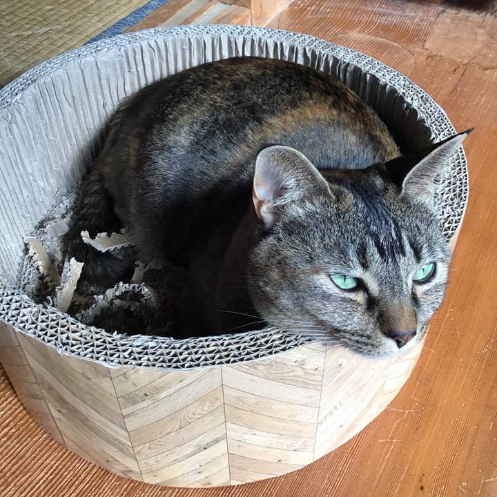 21f7cea9 9391 46e8 aa55 04b3176cf341 1708749223098