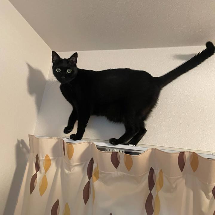 21f7d645 8d31 4d2e abc6 2539df3170aa 1758800589376