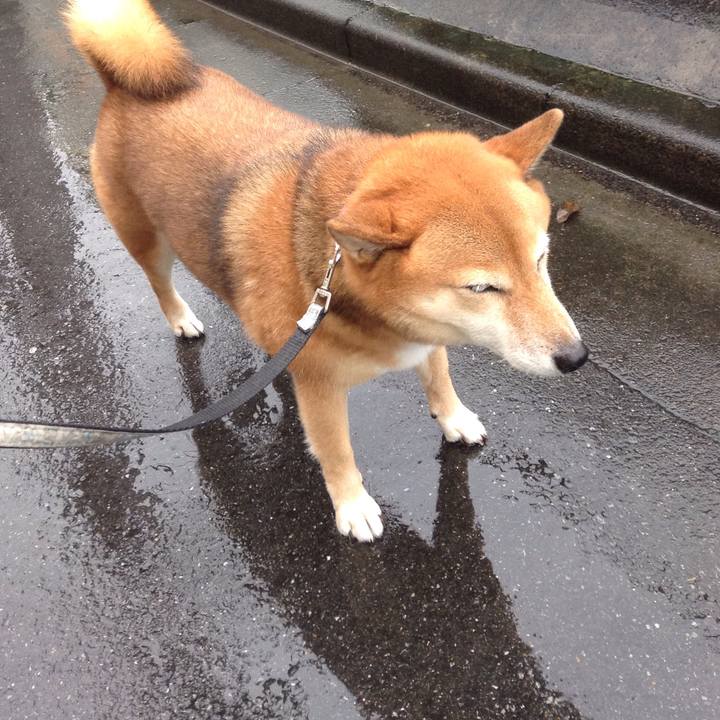 21f807d0 1606 4664 8ec3 beab60221967 1538033112503