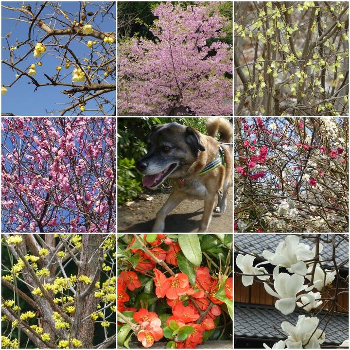 21f835e2 427e 4f18 b8b8 5f41e69a07e5 1581389700184