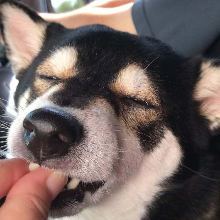 21f84910 7847 4717 9161 43202499fed4 1543108991950