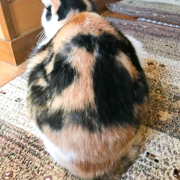 21f89783 5284 40d5 a5c0 47709fce96c0 1515370785926