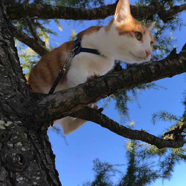 21f8b168 fccf 463c b2dd 61d444b6166a 1514780066564